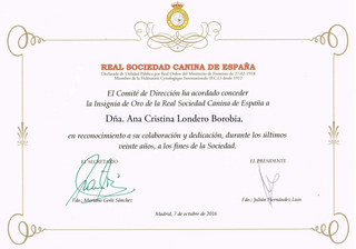 Cert. Diploma-insignia-de-oro copy